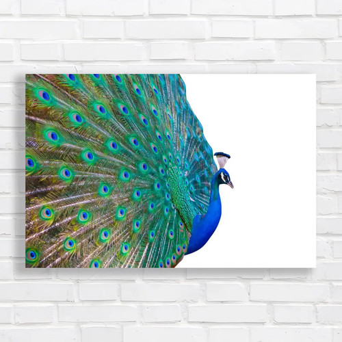 Vibrant copy space stand out - vibrant,